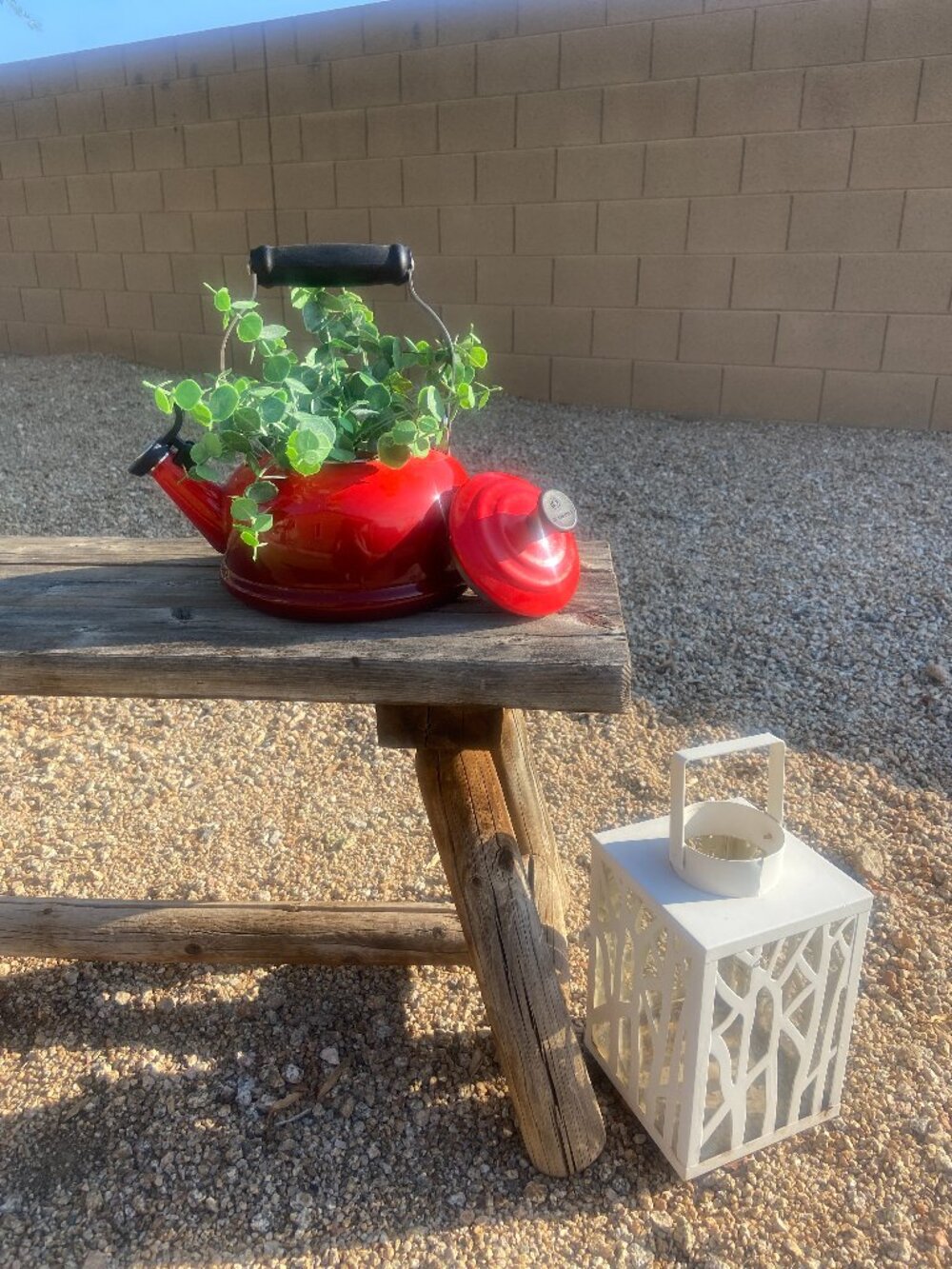 Le Creuset Red Enamel Tea Kettle Decor Planter Utensil Holder Rustic Farmhouse